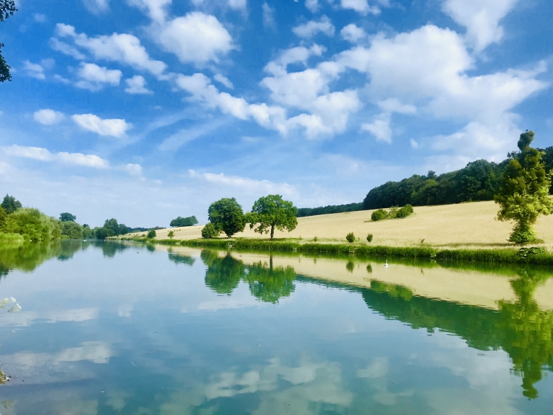 Restore Hope Community Garden